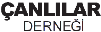 ccd.org.tr